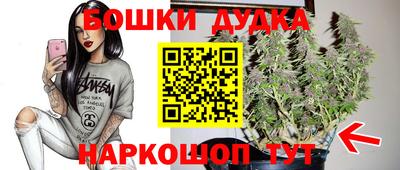 гидра Заволжье