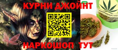 гидра Заволжье