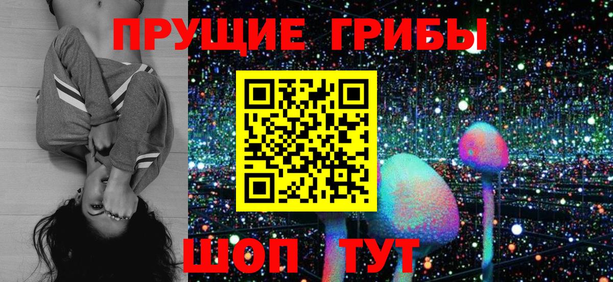 Избербаш  Псилоцибиновые грибы Psilocybe  Вход с VPN 